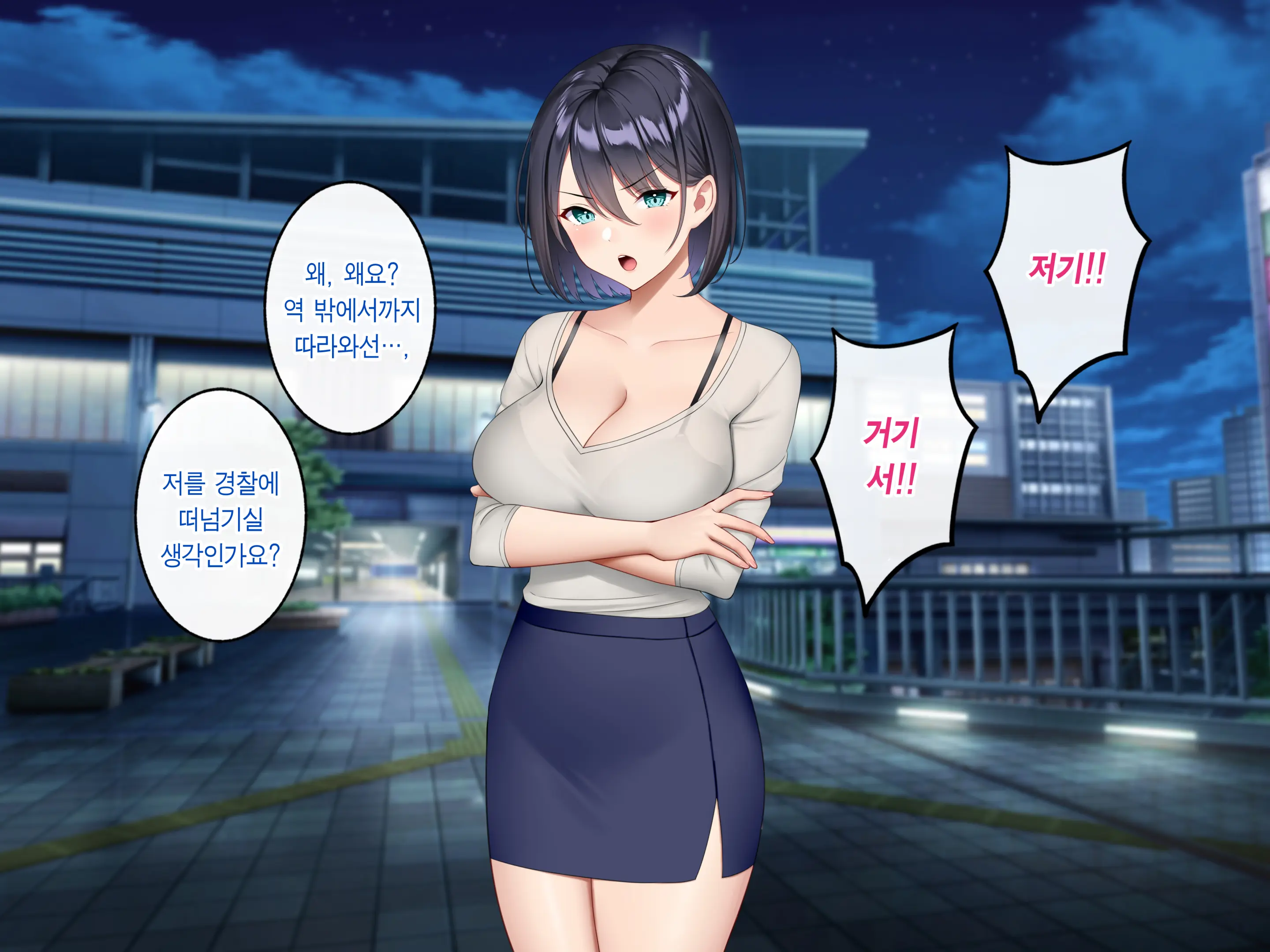 Gyaku Chikan Zuki No Bijin OL O Gyaku Ni Otoshite Hamemakutta Hanashi. | 역치한을 좋아하는 미녀 OL을 역으로 타락시켜 마구 섹스한 이야기.